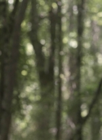 twd1107_scnet_0778.jpg