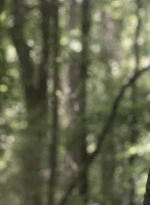 twd1107_scnet_0779.jpg