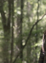 twd1107_scnet_0780.jpg