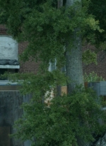 twd1107_scnet_0802.jpg