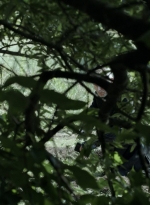 twd1107_scnet_0855.jpg
