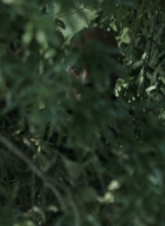 twd1107_scnet_0857.jpg