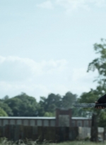 twd1107_scnet_0865.jpg