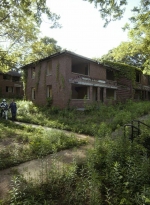 twd1107_scnet_1074.jpg