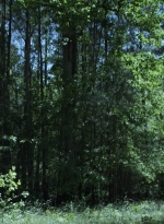twd1107_scnet_1144.jpg