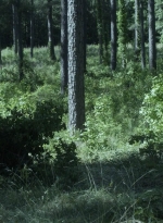 twd1107_scnet_1178.jpg