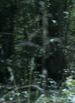 twd1107_scnet_1179.jpg
