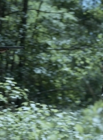 twd1107_scnet_1180.jpg