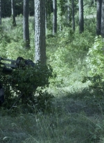 twd1107_scnet_1183.jpg