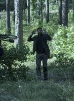 twd1107_scnet_1185.jpg
