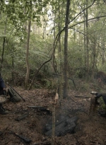 twd1107_scnet_1254.jpg