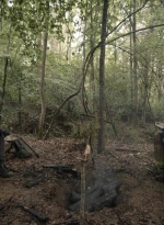 twd1107_scnet_1255.jpg
