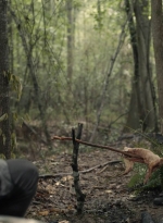 twd1107_scnet_1258.jpg