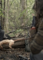 twd1107_scnet_1261.jpg