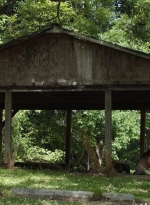 twd1107_scnet_1505.jpg