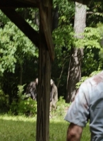 twd1107_scnet_1513.jpg