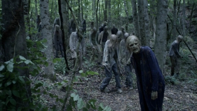 twd1108_scnet_0148.jpg