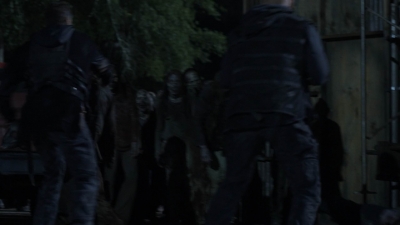 Click to view full size image
==============
twd1108_scnet_1701.jpg twd1108_scnet_1701.jpg