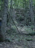 twd1108_scnet_0145.jpg