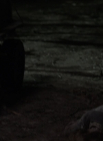 twd1109_scnet_1985.jpg