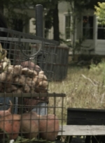 twd1109_scnet_2192.jpg