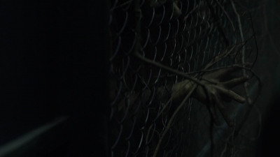 twd1110_scnet_0018.jpg