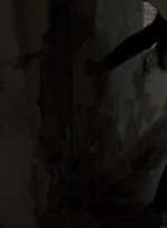 twd1110_scnet_0705.jpg
