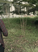 twd1110_scnet_0885.jpg