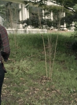 twd1110_scnet_0886.jpg