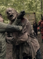 twd1110_scnet_1050.jpg