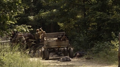 twd1112_scnet_0946.jpg