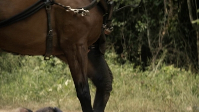 twd1112_scnet_0960.jpg