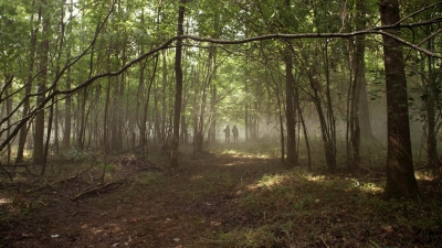 twd1112_scnet_1124.jpg
