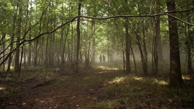 twd1112_scnet_1127.jpg