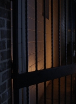 twd1112_scnet_0347.jpg