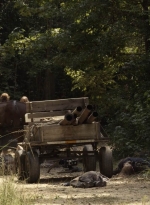 twd1112_scnet_0945.jpg
