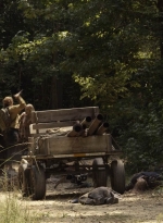 twd1112_scnet_0946.jpg