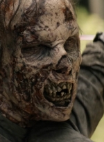 twd1112_scnet_0948.jpg