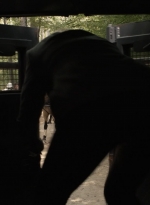 twd1112_scnet_0949.jpg