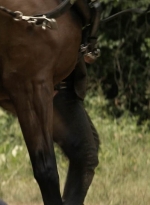 twd1112_scnet_0960.jpg