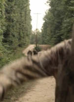 twd1112_scnet_0961.jpg