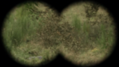 twd1113_scnet_0133.jpg