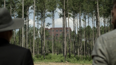 twd1113_scnet_1139.jpg