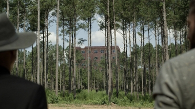 twd1113_scnet_1140.jpg