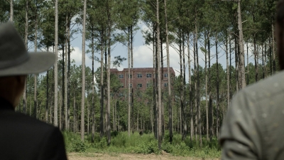 twd1113_scnet_1141.jpg