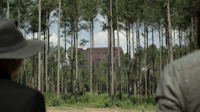 twd1113_scnet_1142.jpg