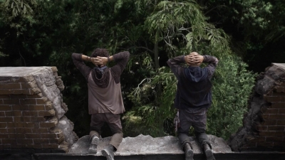 twd1113_scnet_2774.jpg