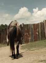 twd1113_scnet_0166.jpg