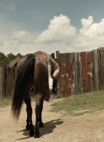 twd1113_scnet_0167.jpg