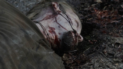 twd1114_scnet_2303.jpg